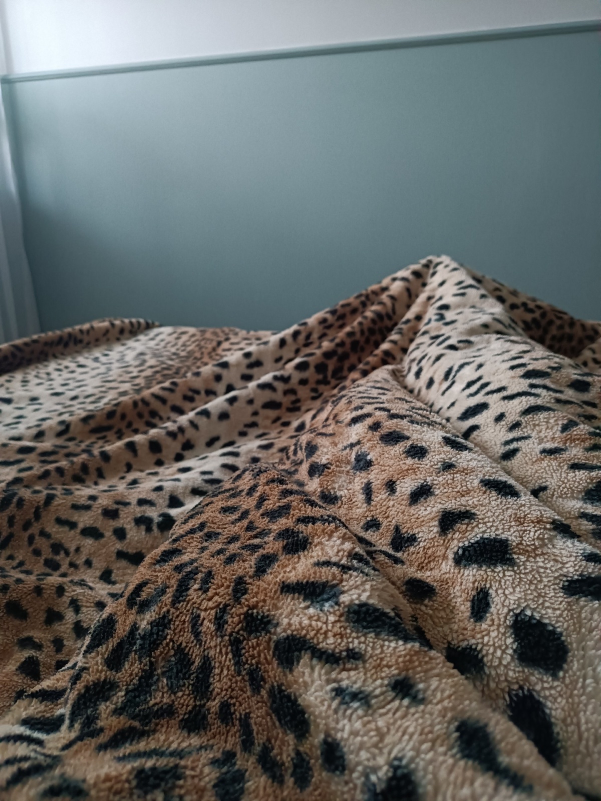 43a887ae-1452-4600-ad4a-57499f1899dc