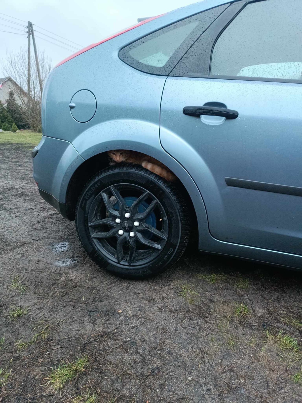 bbc16b3a-7cc7-4647-9998-94a9d792dae8