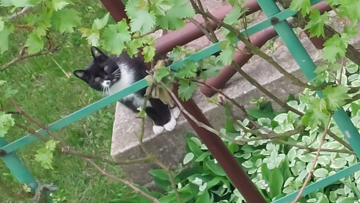 0fb41aaa-cf81-4097-b9d3-2cfffd4201f1