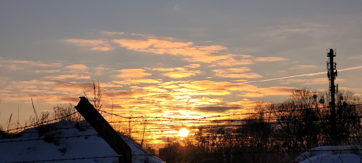 d97483c6-2114-4169-acb7-84f9f9eb23e5