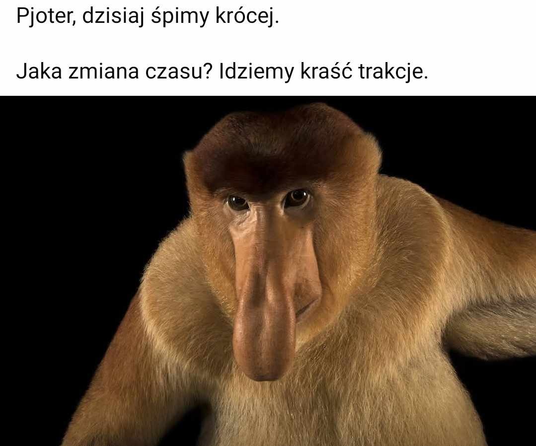 4546dbe8-786a-4abe-958d-f7bb4287af01