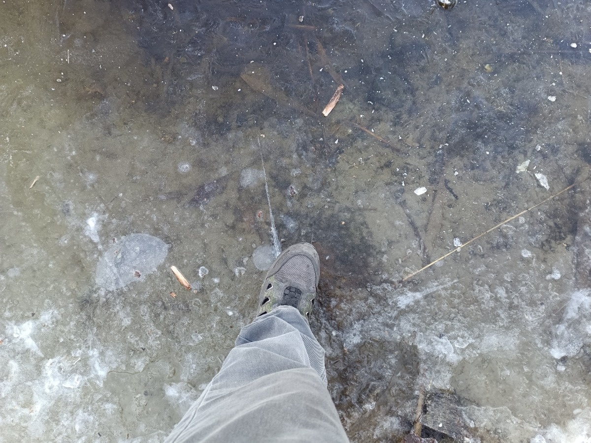 cacfd8fa-dbb8-41d1-a5e3-b5f51681db4d