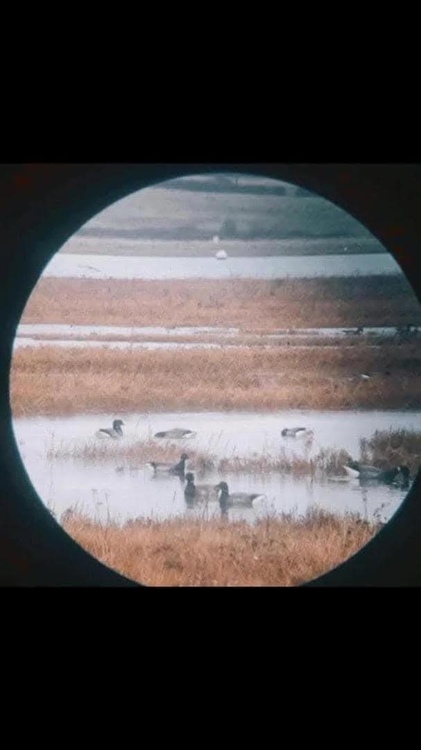 3422db33-fb88-4a1d-a942-2b4114e9843a