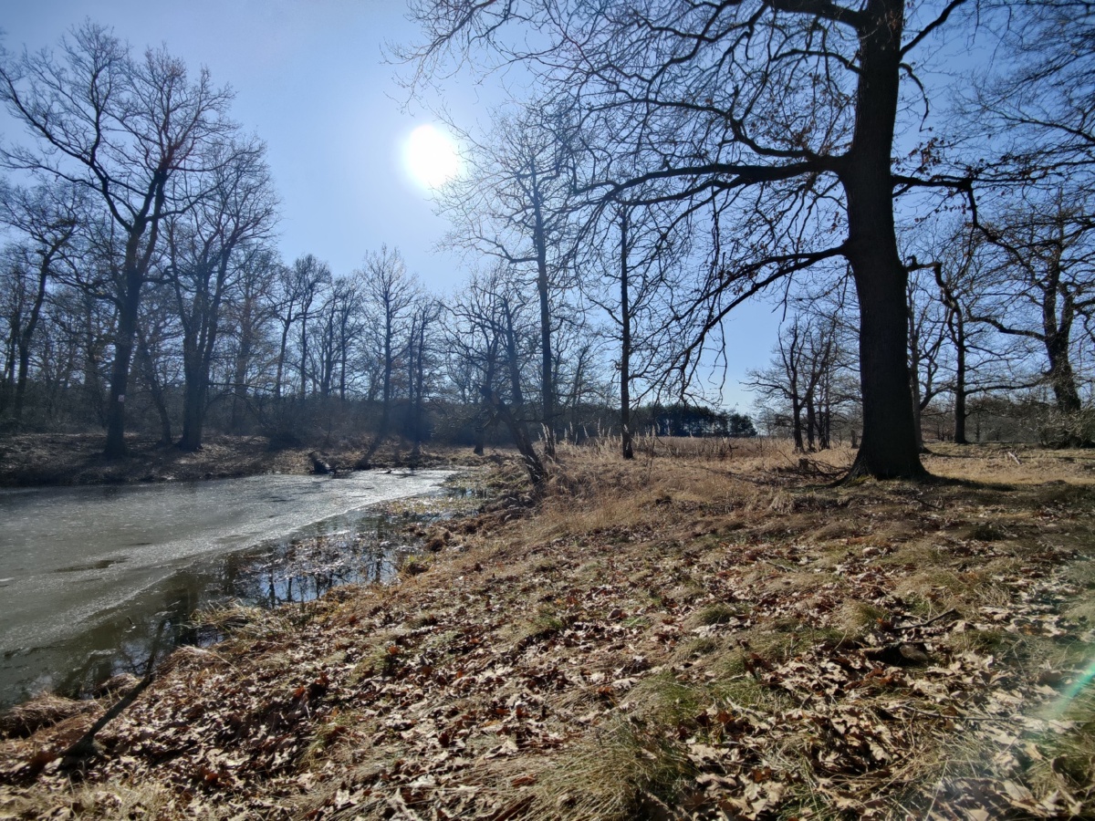 d56bbfbf-3e47-439b-bdc0-99758d71aca1