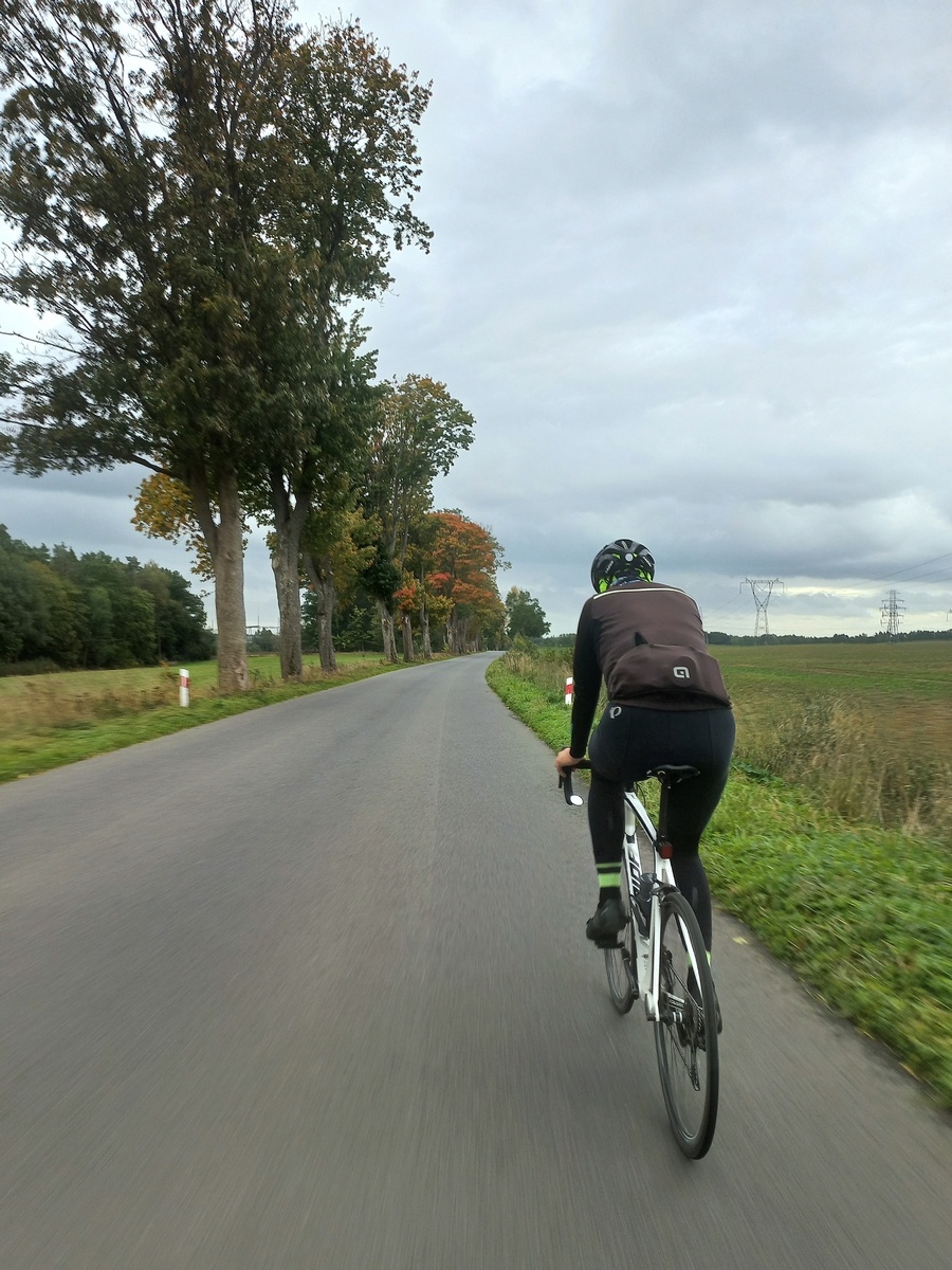 54c67302-155c-4087-a160-9e123e2781c5