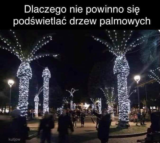 caec0975-fe07-4d5d-b61e-07fa9fdad95b