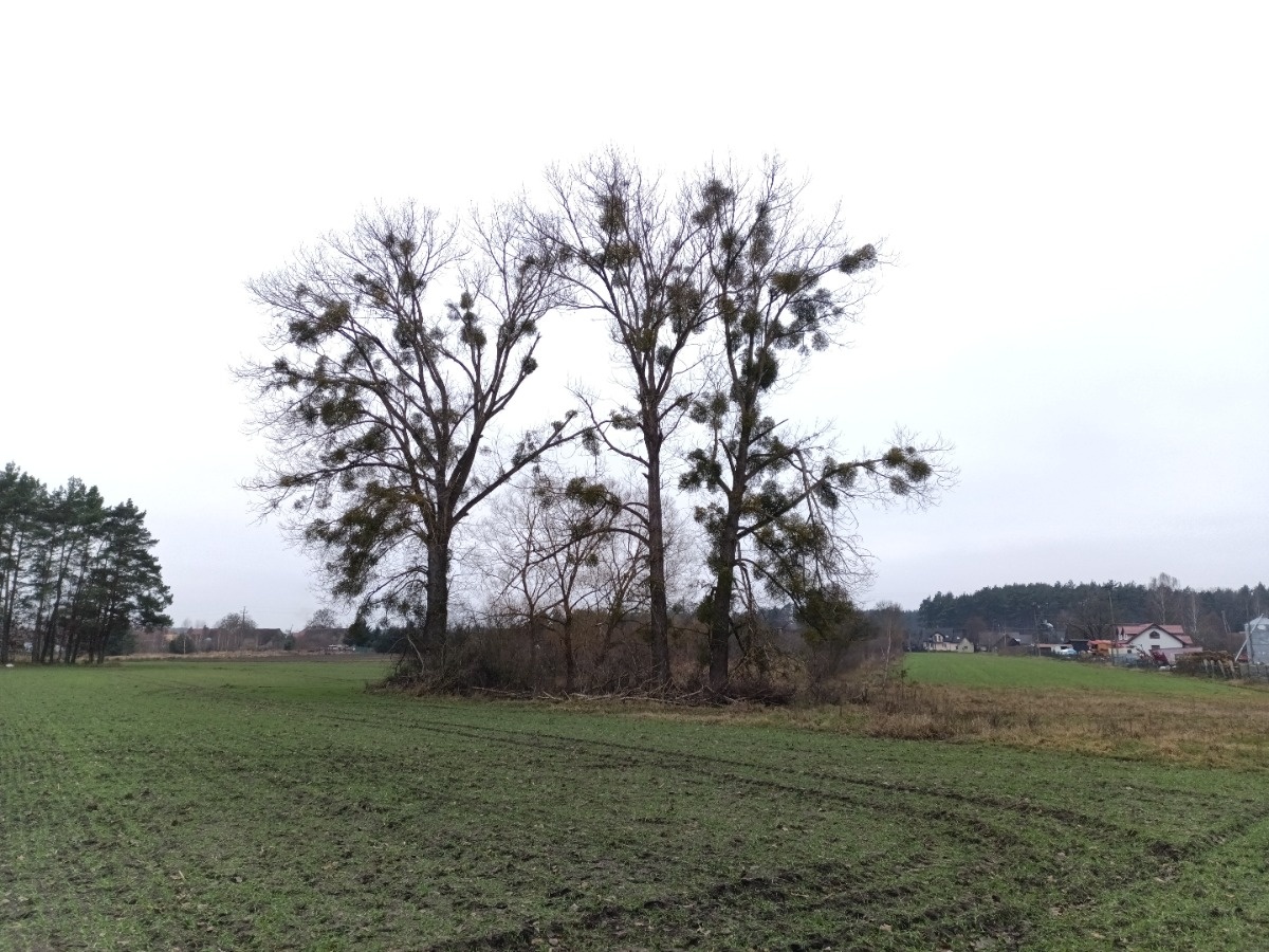 c8b15f5d-89f1-4279-a859-c01eabc21203