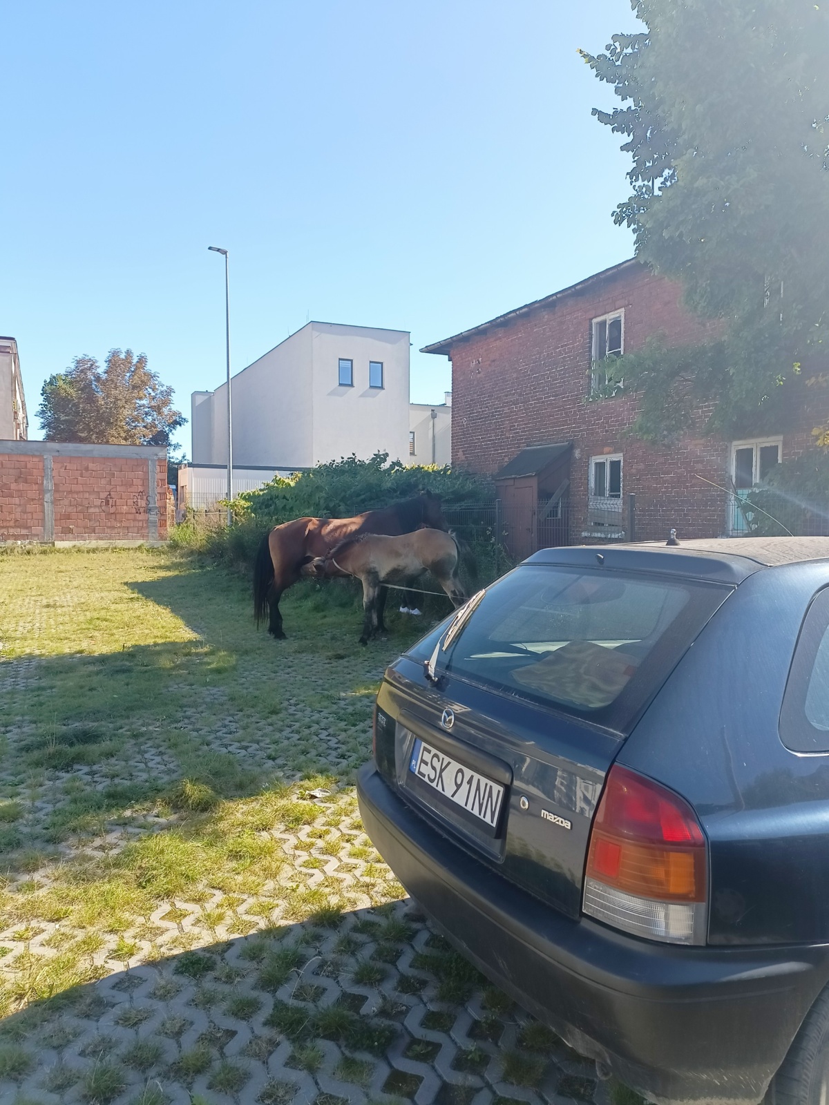 1f6564ae-ee46-4ce3-8814-9cc8e5daf6e0