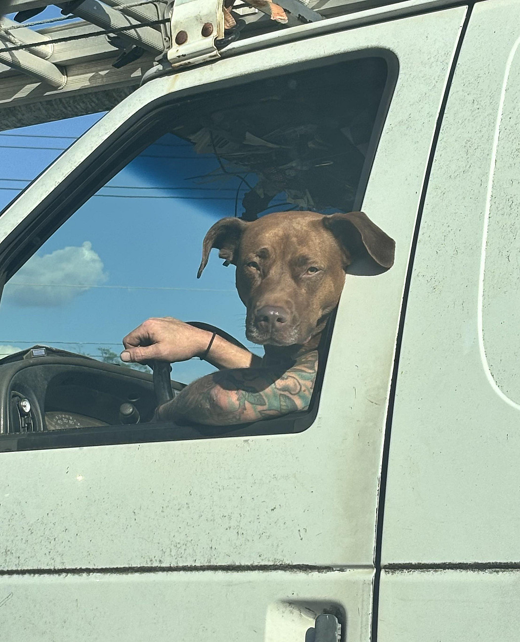 04d3b937-231e-4aa1-b81d-6b01a636291d