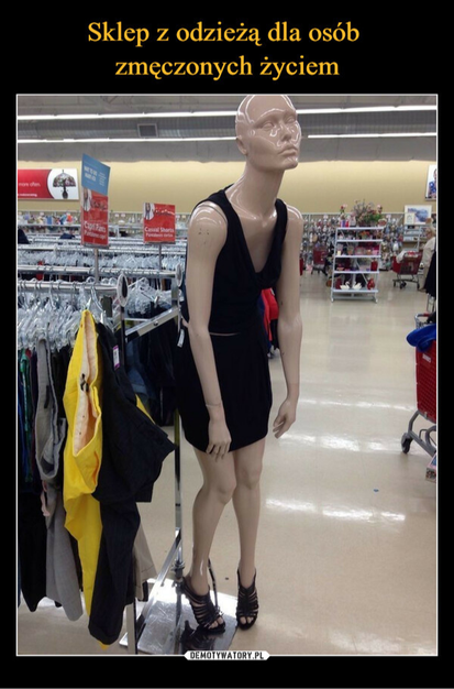 fe3701bb-5e90-4502-853c-0042030d4e37