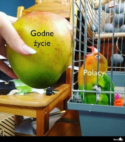 3ebb369a-0346-4bfd-a335-687458f74dd1