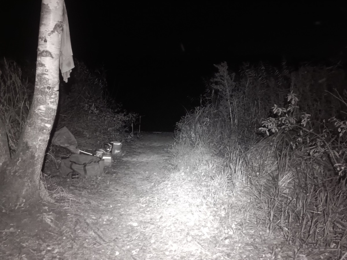 774fc035-d5f3-4cfc-960d-6f47353dc8ba