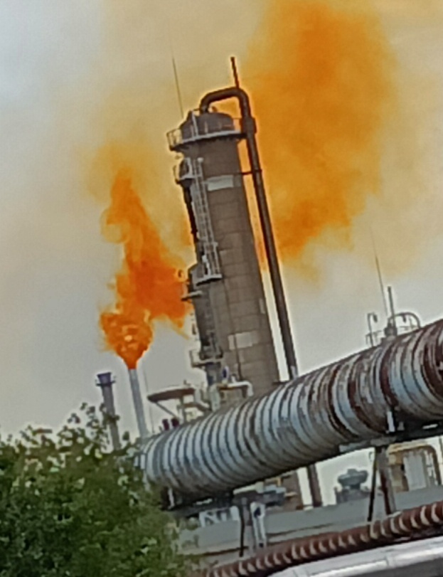 d3a9e30d-a16f-4d73-b210-21a089e09987