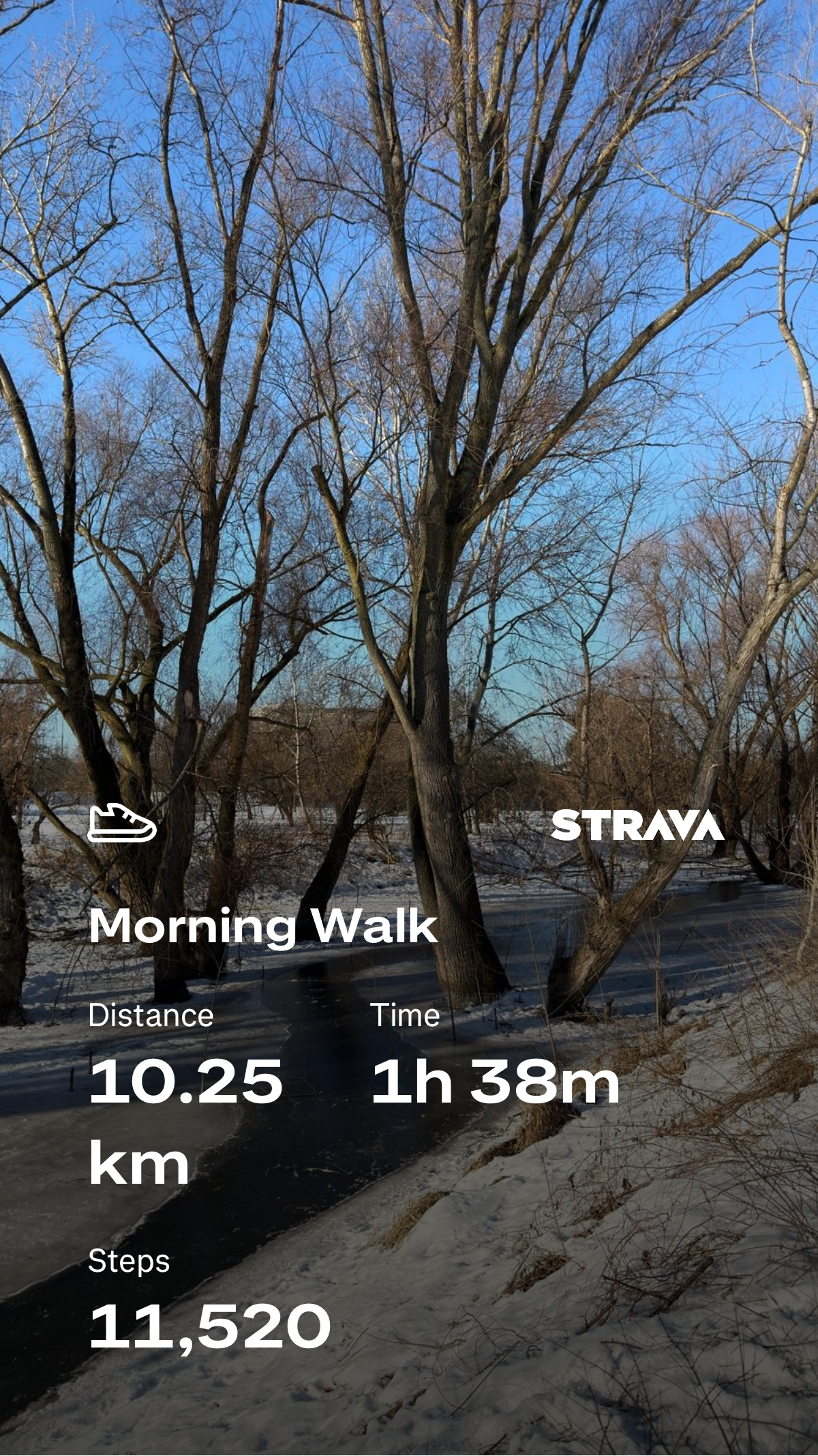 fc0a9bb1-7e1e-48bf-b1e4-e03d6b41f90b