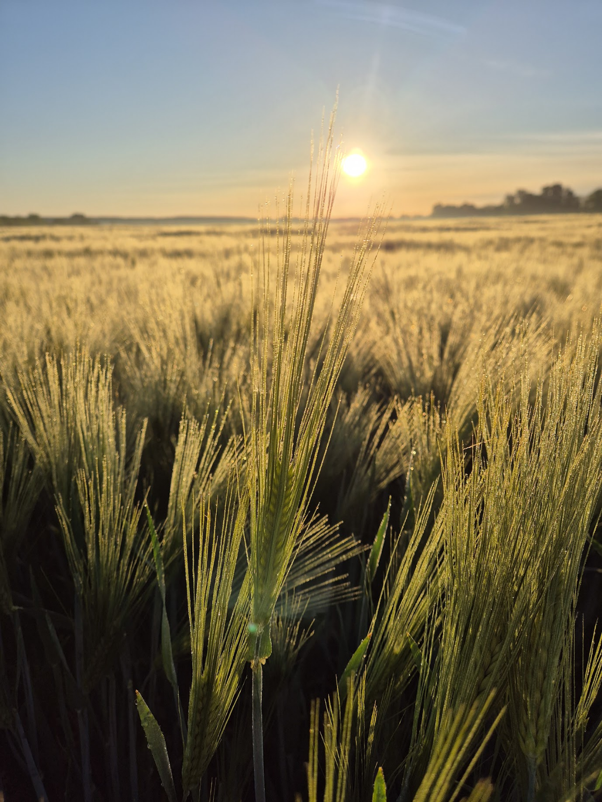 98ba691d-f088-4a20-8bed-eb6060e6c87a