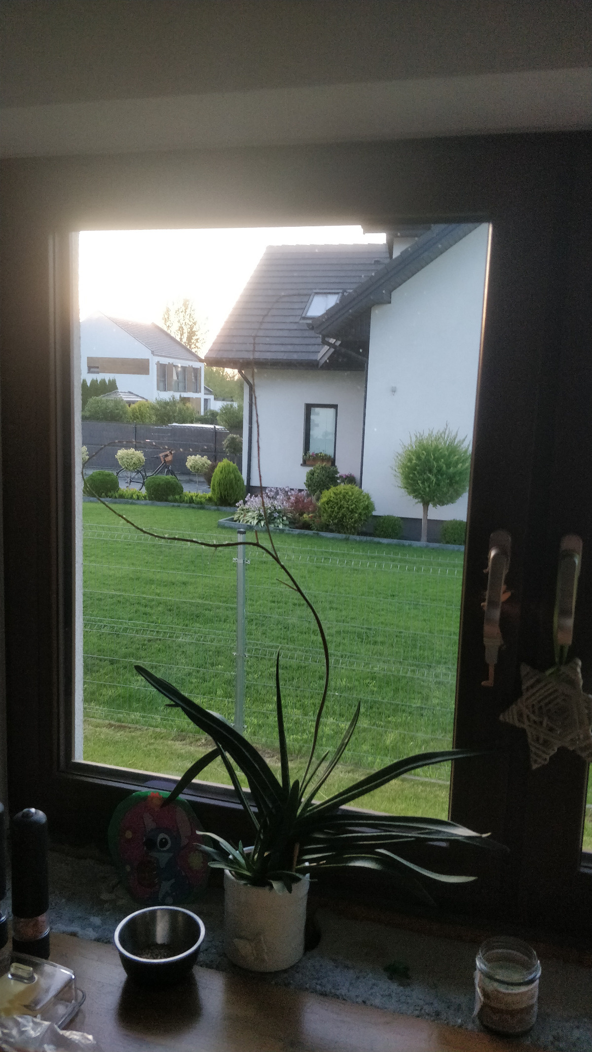 f810deb5-0749-4406-9274-dec2b6c3de3a