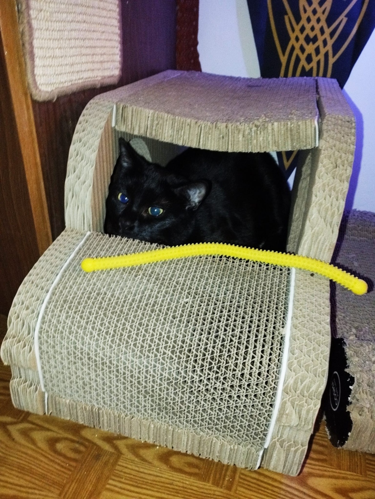 50f83635-76d7-46fa-8aad-f2966ddfa306