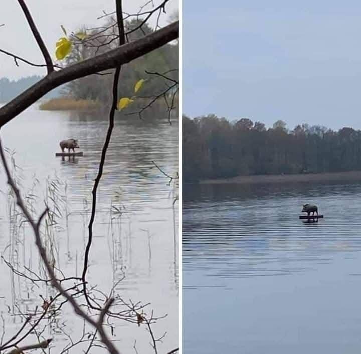 1011af6b-d648-4304-b53b-b9d4ac2ee5ee