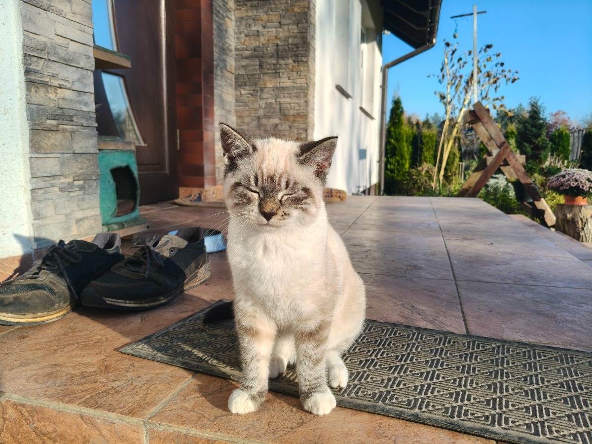 137ae73f-006f-410a-a706-0580684516df