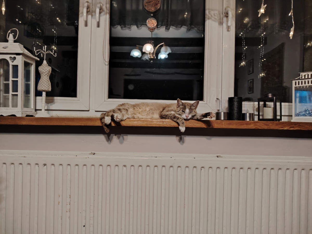 0d4d5ce1-7030-4362-9cc2-0260f2125d92