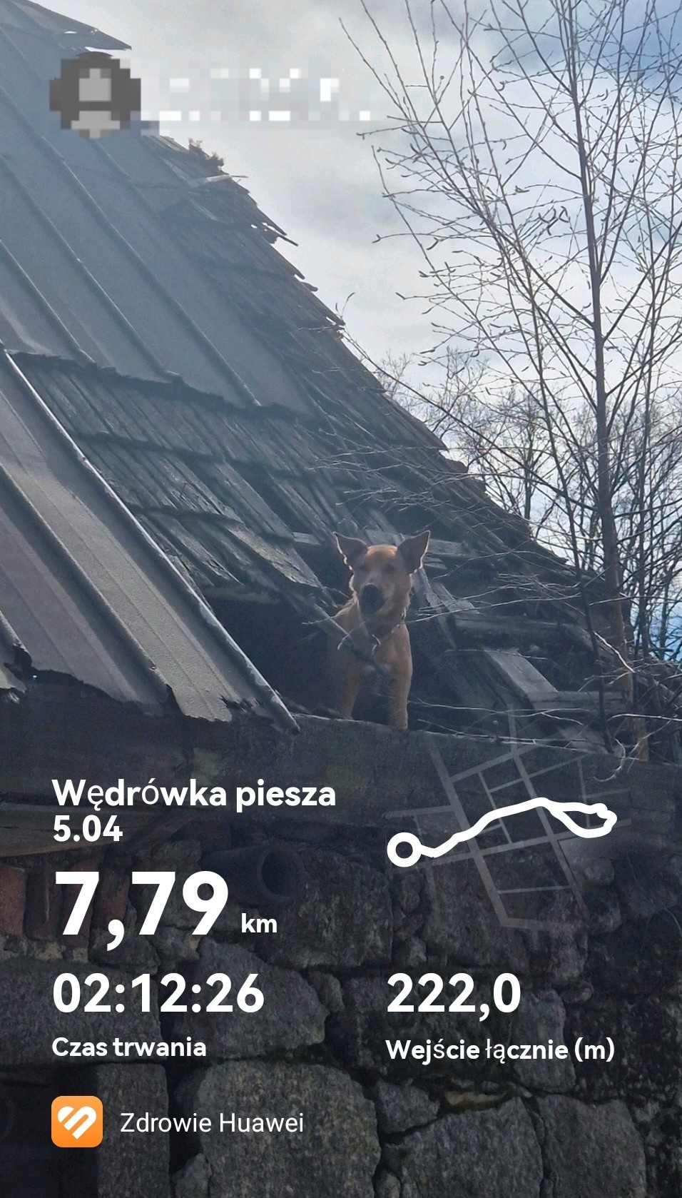 343463f9-903a-4dd9-8739-8a9fd96dc7b9