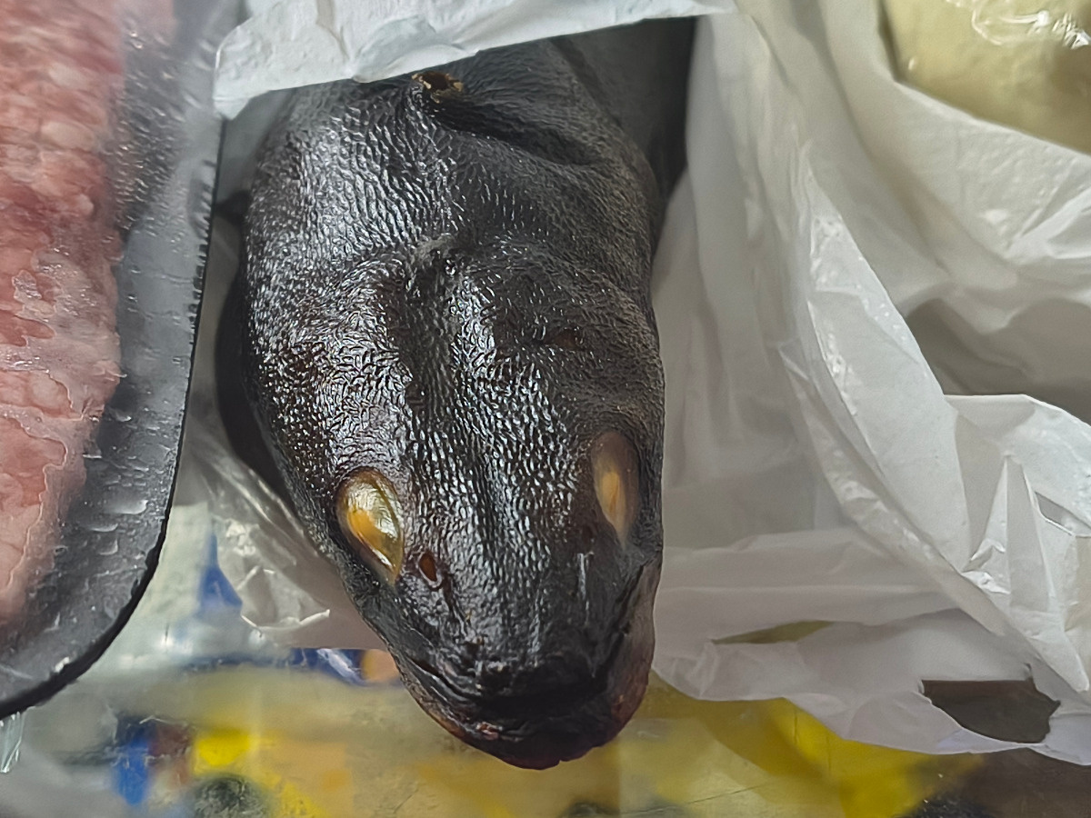 edcf0671-9077-4814-83b8-69b573988852