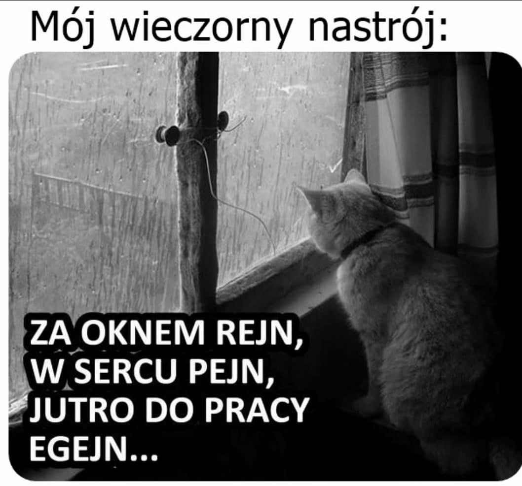 7bb9dcad-fcdd-43ec-993d-6f26d36b0374