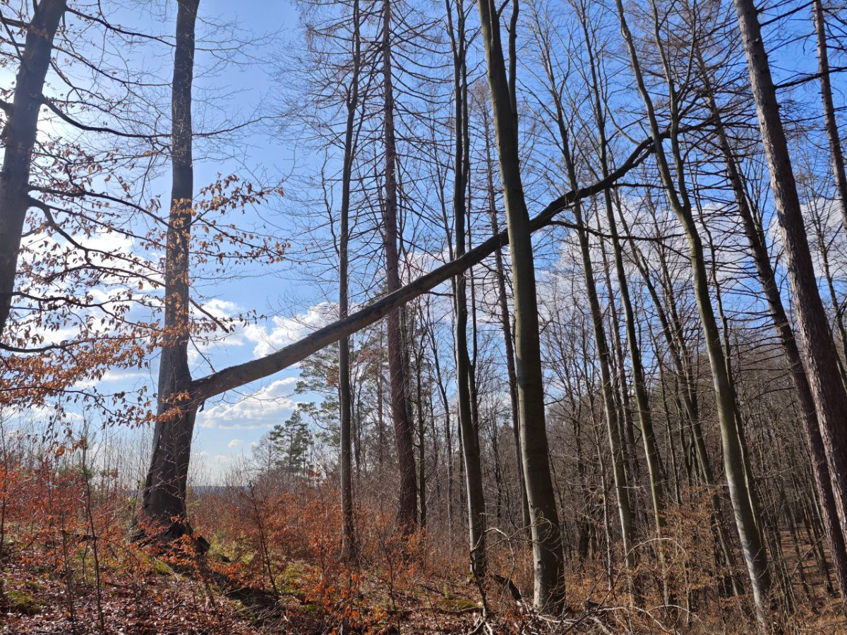 a1e63f66-9c36-4134-94bc-56ae8211150a