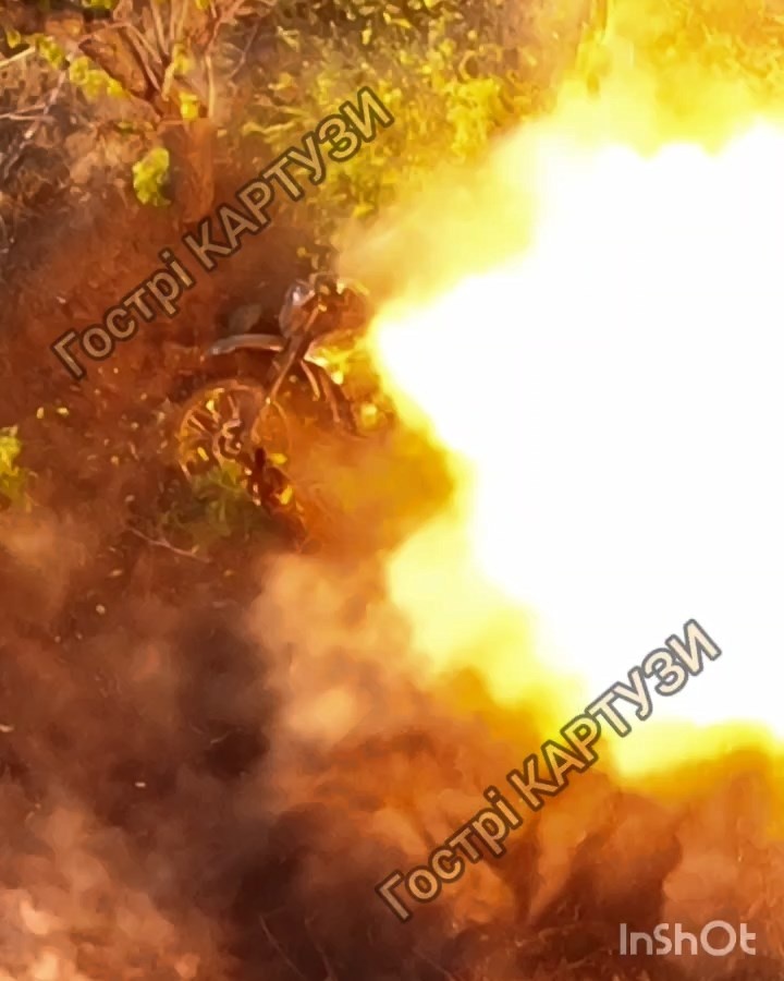 095f25e8-a7d2-4cc3-922f-ae44ce417a52