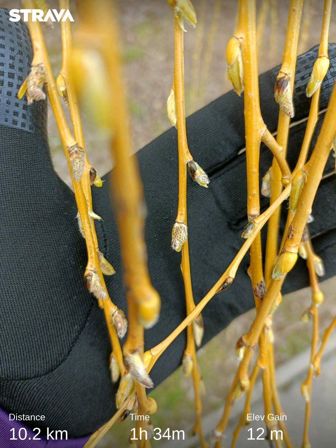 744dcd86-c71e-4a5d-9f68-b019b314d0d8