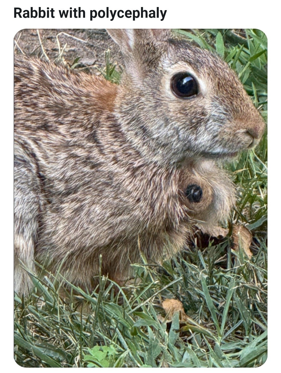 a41cb3f8-8605-4942-b6eb-a7cb85f64776