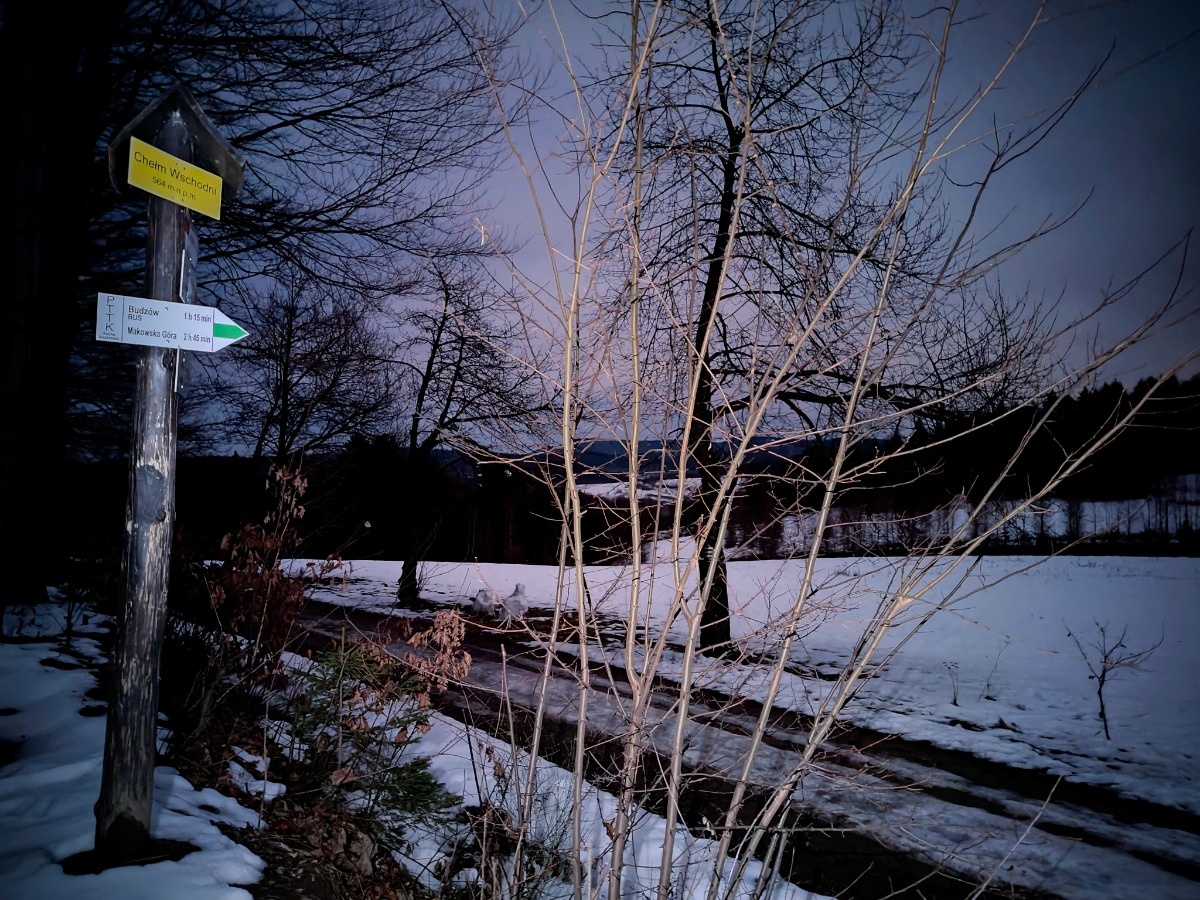 a22cd878-df2e-46bd-a79f-c42d26c54f9e