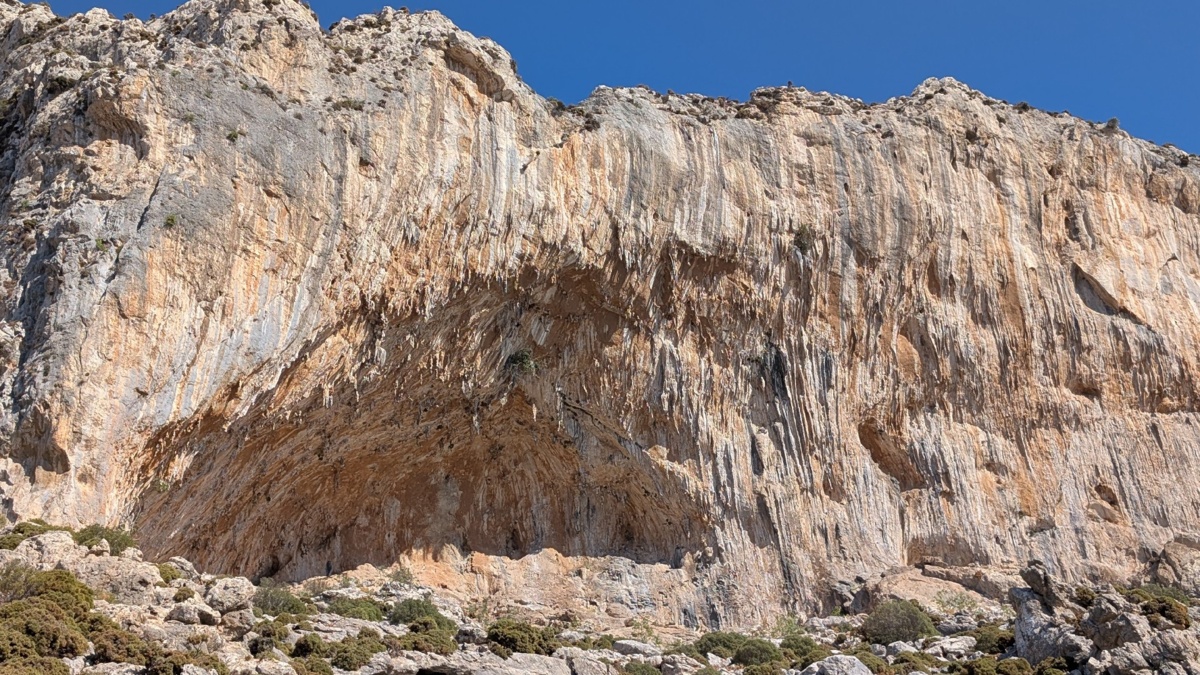 888b1a5c-092d-4dbc-94ff-7ebd89c336f2