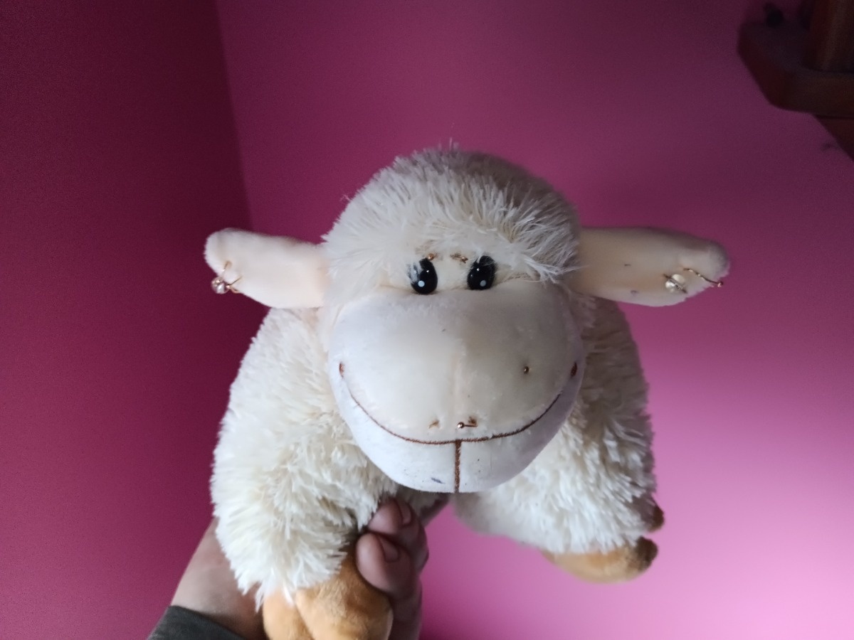 fd8aa0f0-c82f-40dc-94ba-6b8889ccf611