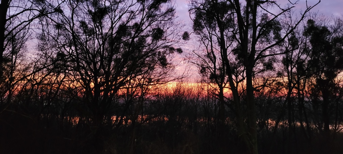 38671ed4-5501-4640-b6fd-2ac153f9ec64