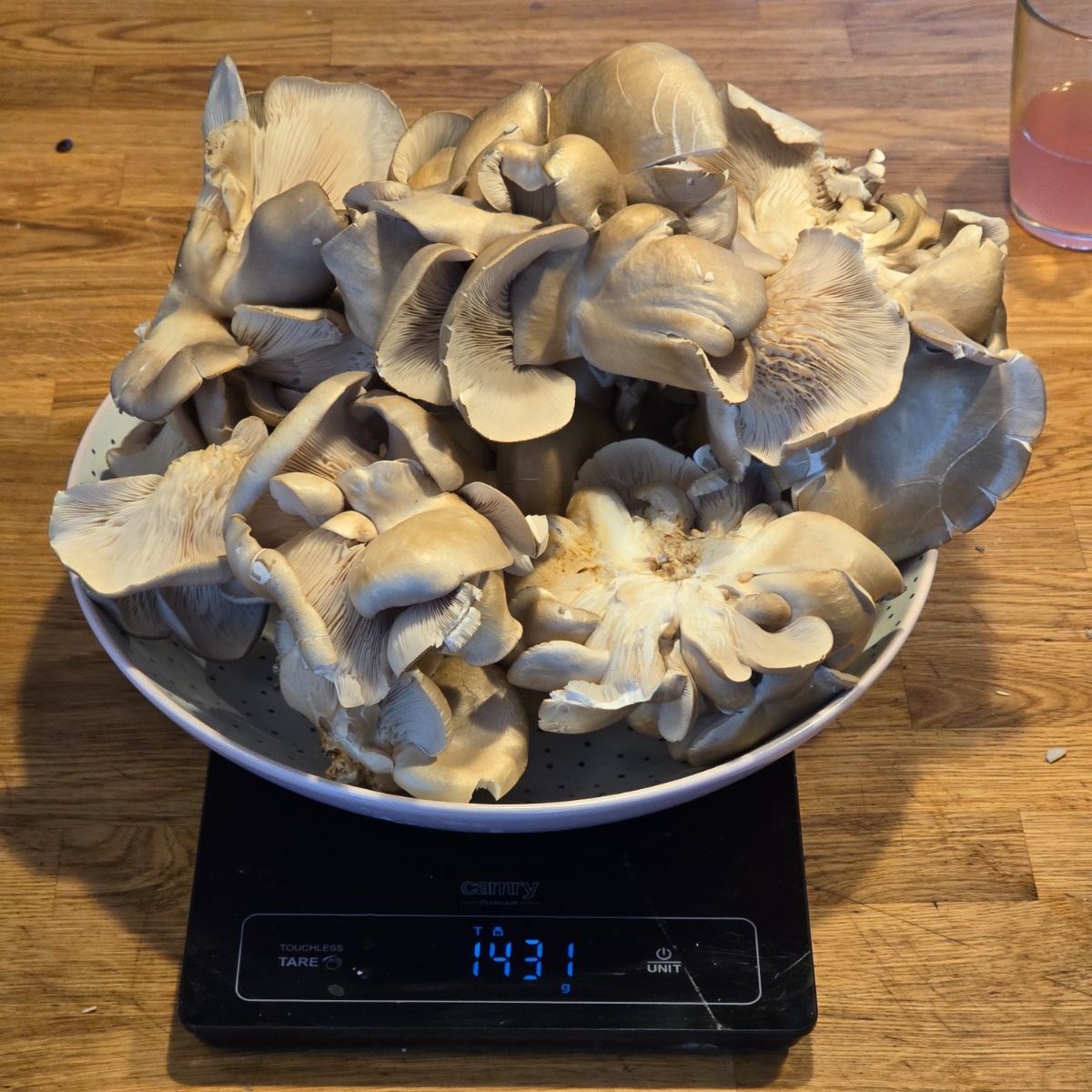 aa77108f-bc57-4799-8ddc-e736a55a7c13