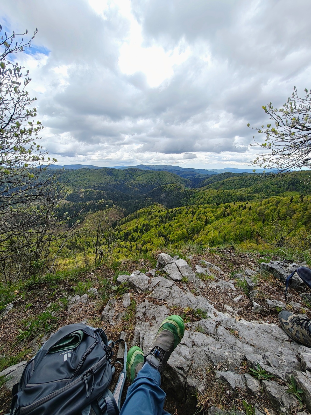 07d2d1be-6de5-4c51-ac33-df11ae2e3e73