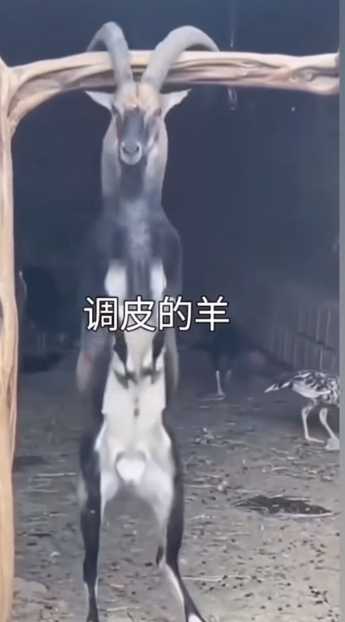 03b626a8-1370-423e-ab7d-2aac465b5f77