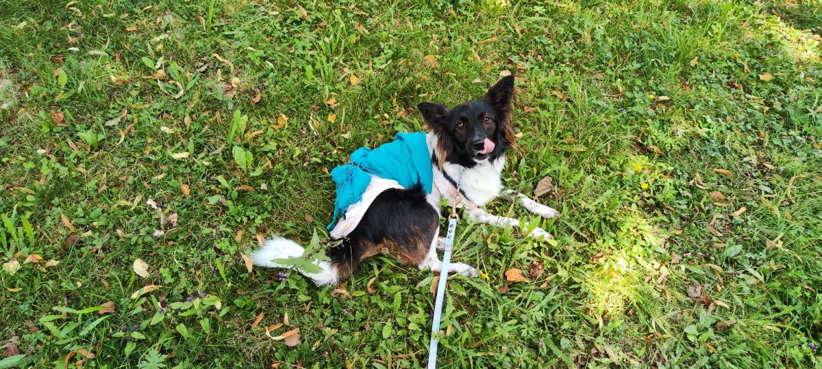 9a05c80f-5563-4095-9c56-c8d18b2c5073