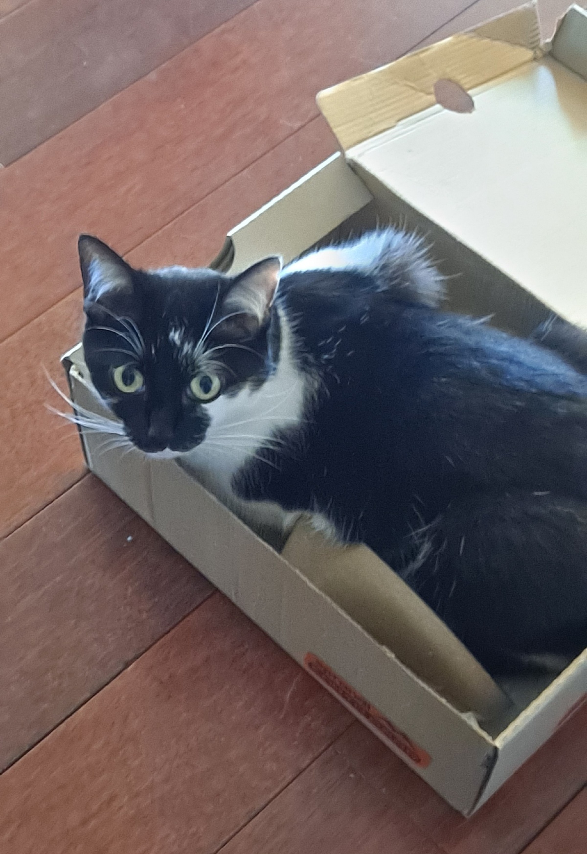 8f44b404-2f72-4b0b-a525-8b89fc0396dc