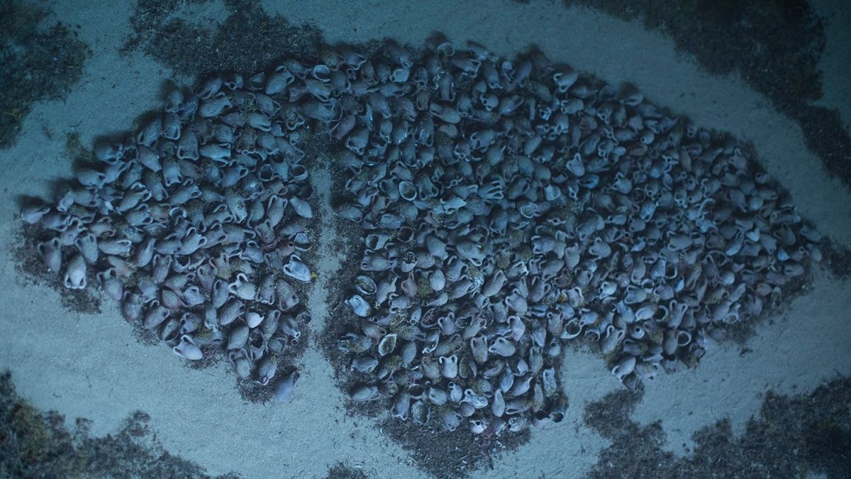 29803ed2-6c20-4b43-904b-30a11ba00329