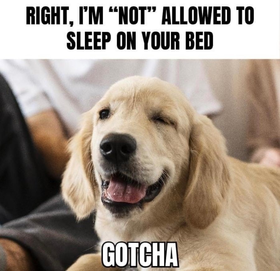 0120e280-bef0-42d5-884c-483c328c503d