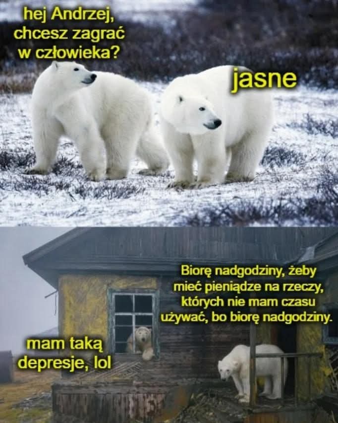 115d5b78-323b-421f-80a6-bdbc56c809ee