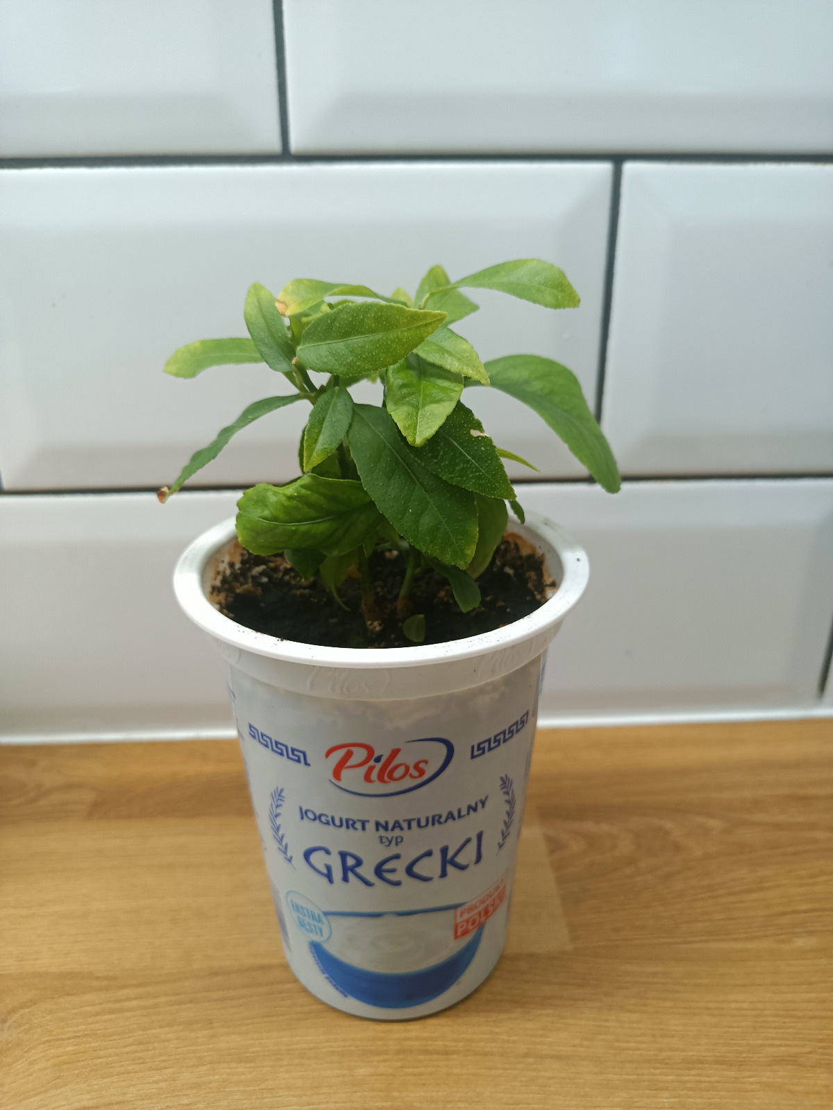 42159f5f-a3cf-4bc4-a2b0-8c3b7343b9c7