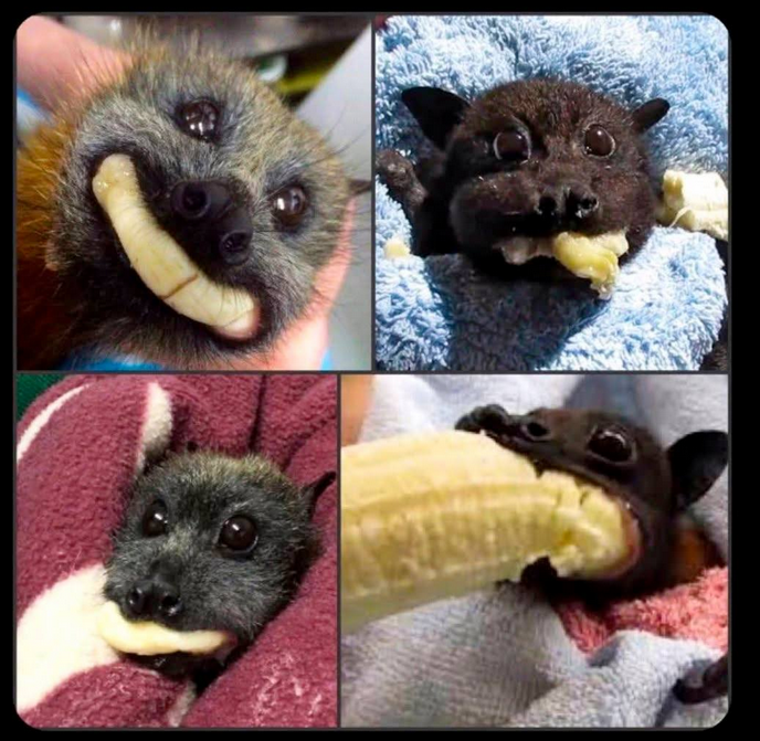 ab609dbe-02d7-4986-a430-37413b1c3323