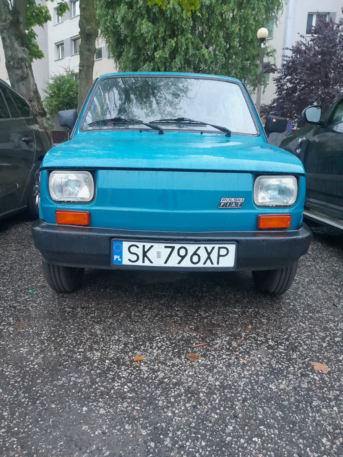 43b07410-9d28-4557-be74-ad024896577b