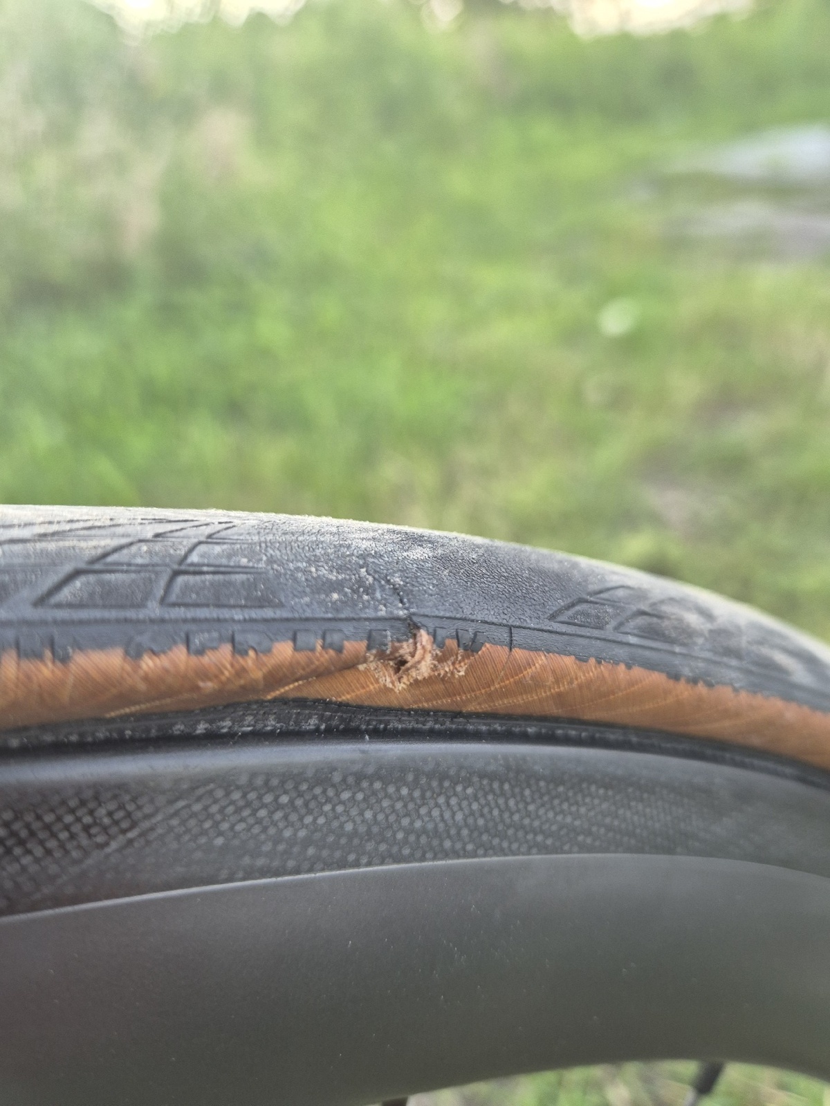 1002a763-c177-468a-85ef-f1c78e8e011f