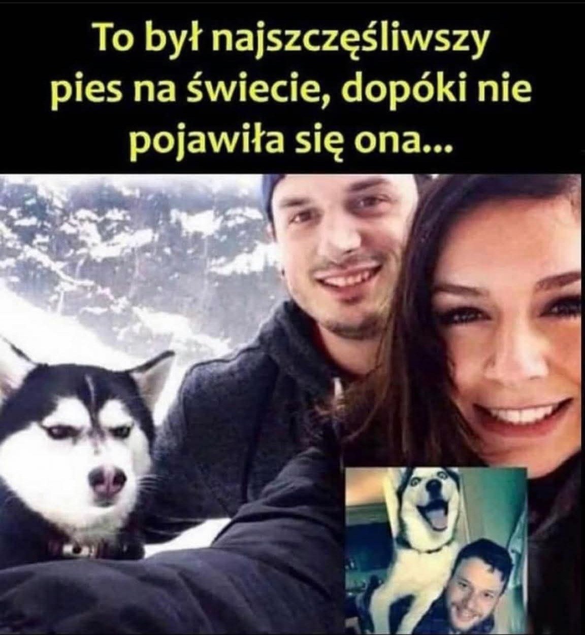 bcaac00f-9584-4611-bc67-cc3819b0545f