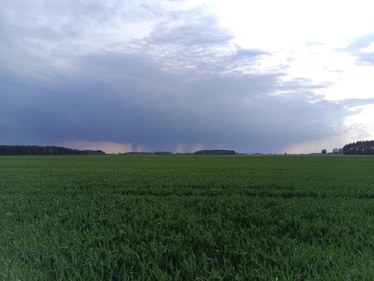 a1b4b978-e428-4a53-9627-5d29c7c8e0d1