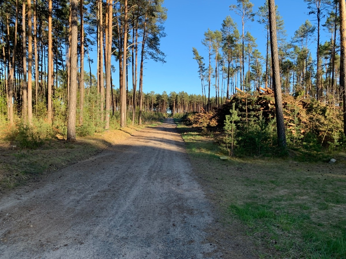 f37de8d7-29ed-434b-b786-5d61b456b7c3